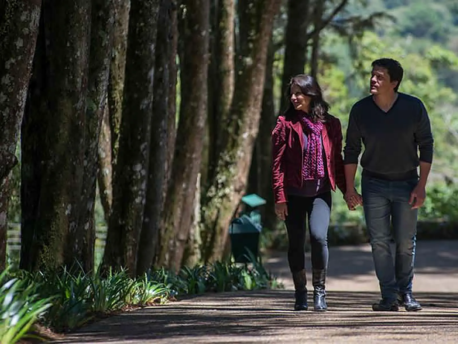 Casal abraçado sob as araucárias da mata nativa do Kuriuwa, ao entardecer em Monte Verde