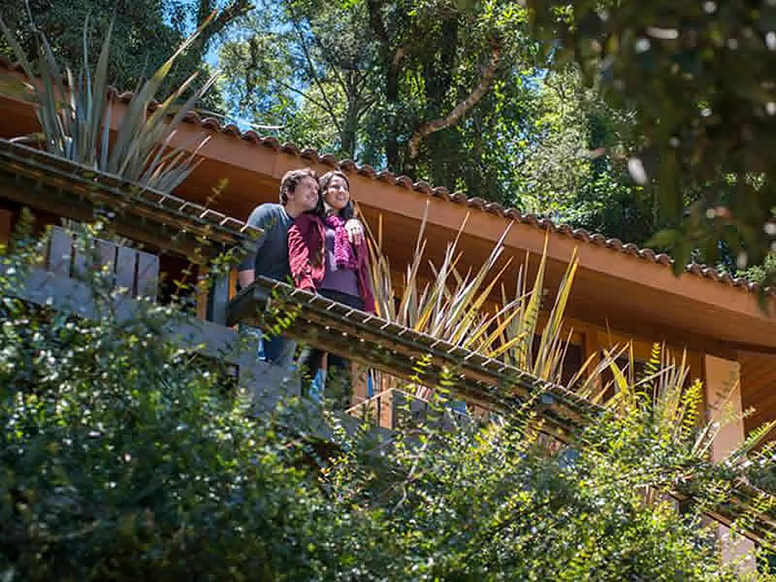 Casal caminhando por uma passarela suspensa entre as araucárias do Kuriuwa Hotel